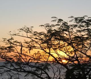 Location  Maison - Villa 