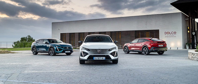 LOUVET AUTOS, concessionnaire 38