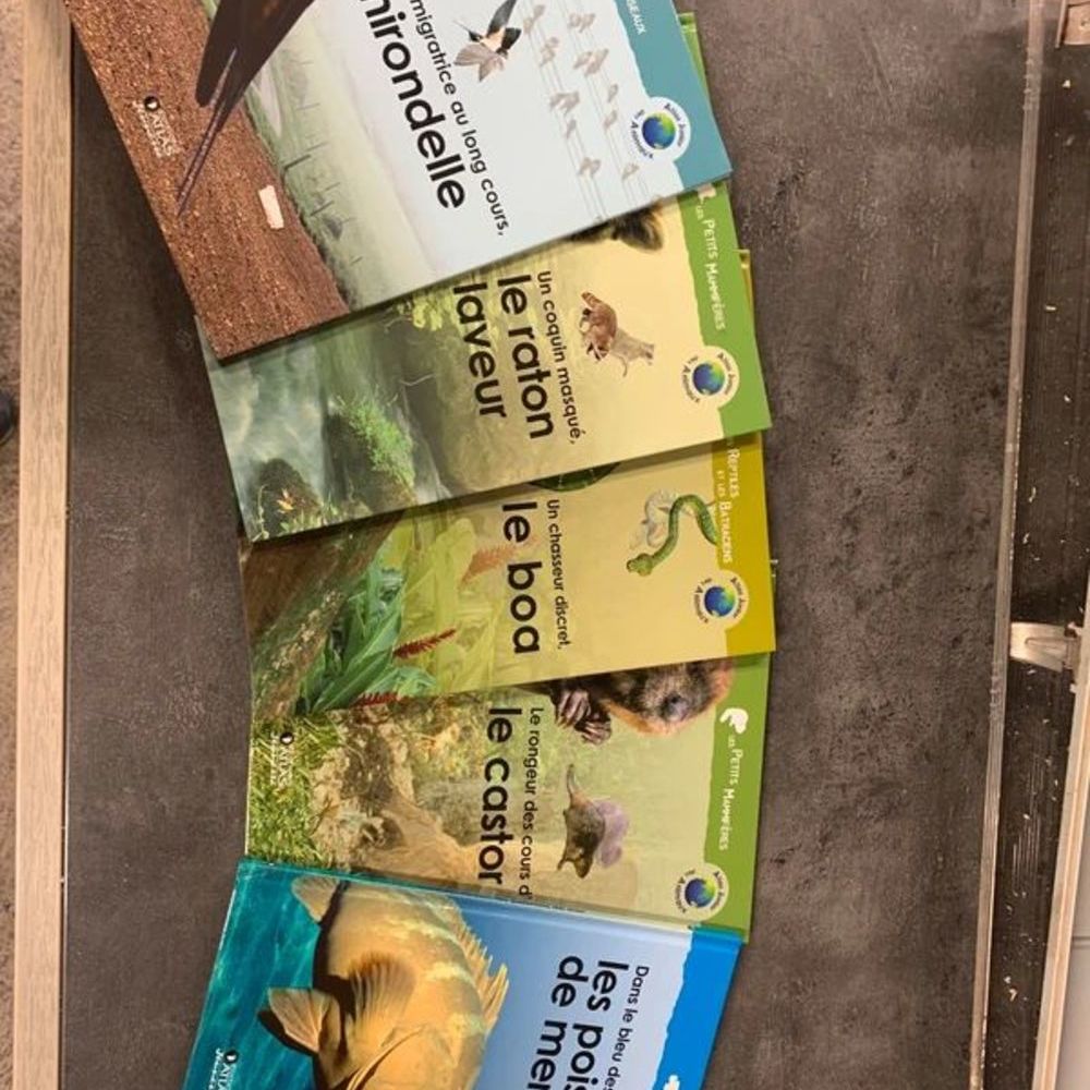 Atlas junior Livres et BD