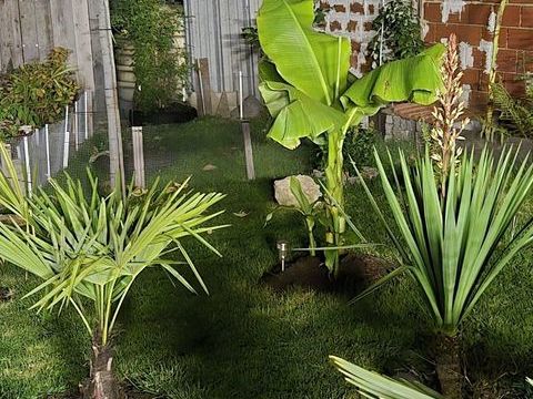 Pur mon m&acirc;le herman, rec femelle  agee 77..75 0 93800 �pinay-sur-seine