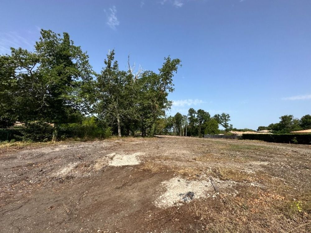 Maisons neuves   Martillac (33650)