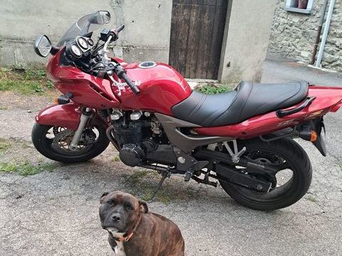 Moto KAWASAKI 2004 occasion Avignonet-Lauragais 31290