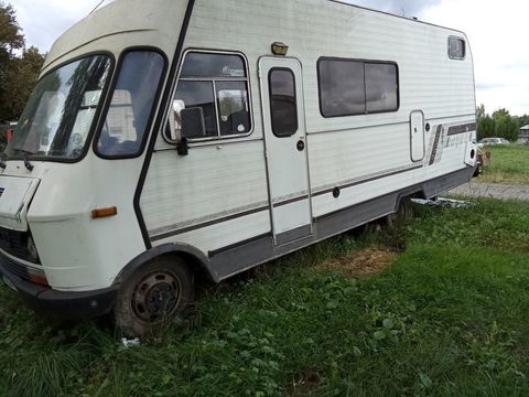 IVECO Camping car 1984 occasion Peyrehorade 40300
