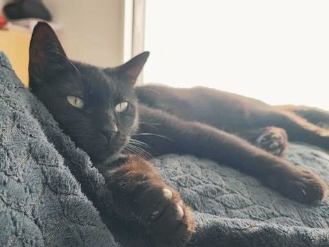 ALOHA 1 84430 Mondragon