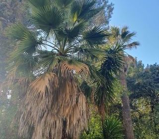  Appartement � vendre 2 pi�ces 46 m�