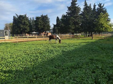 Pension equipistes sur Lapalud 300 84840 Lapalud