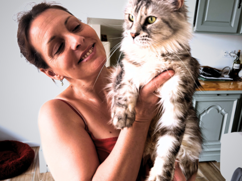 Chatons maine coon 1300 30129 Redessan