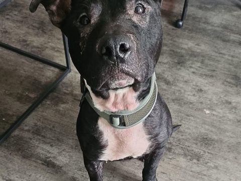 Paco 330 59200 Tourcoing