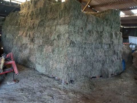 Foin 2 35640 Martign�-ferchaud