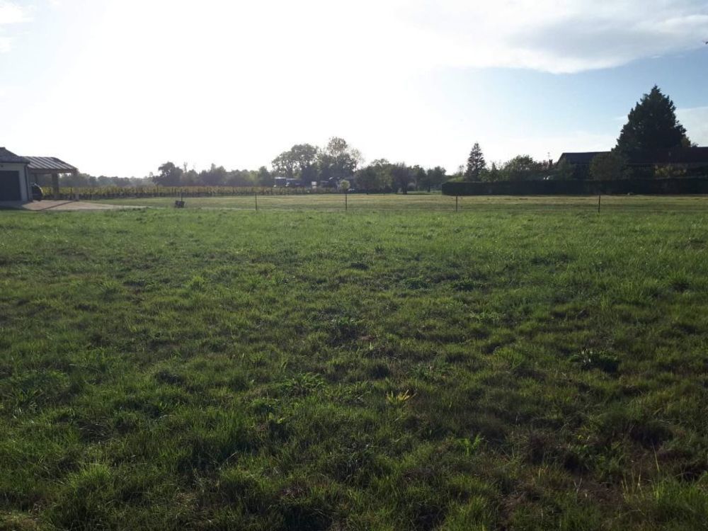 Maisons neuves   Brach (33480)