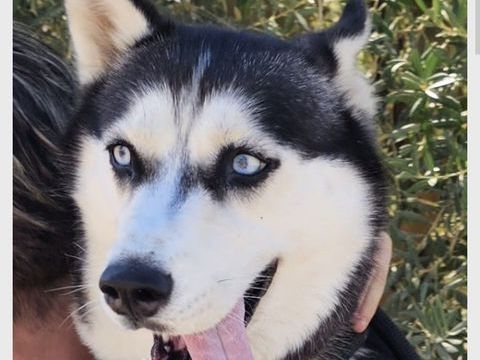 LUNA 300 27620 Gasny