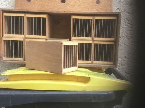 Caisse de transport oiseaux 25 62220 Carvin