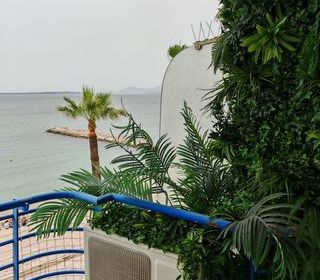  Appartement � louer 1 pi�ce 30 m�