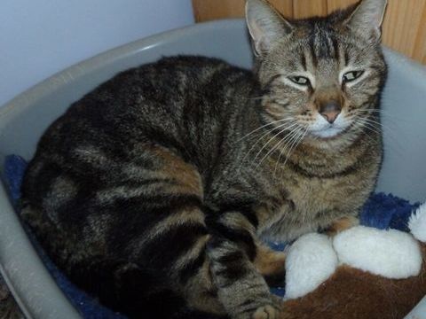 Esme 250 47500 Sauveterre-la-l�mance