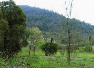  Terrain � vendre 9125 m�