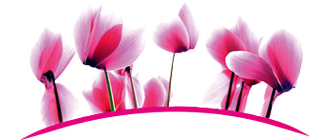 Agence ACTU'ELLES REGIE  L'Arbresle