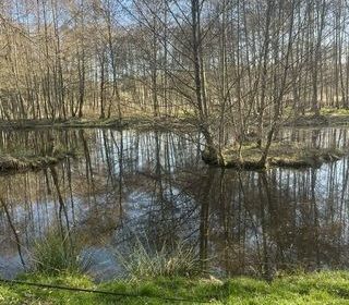  Propri�t�/ch�teau � vendre 1 pi�ce 10000 m�