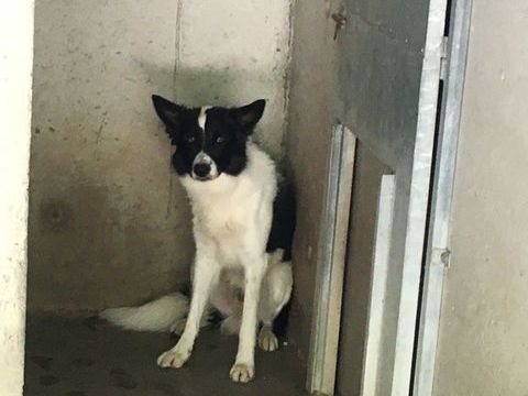 Rom&eacute;o 230 26700 Pierrelatte