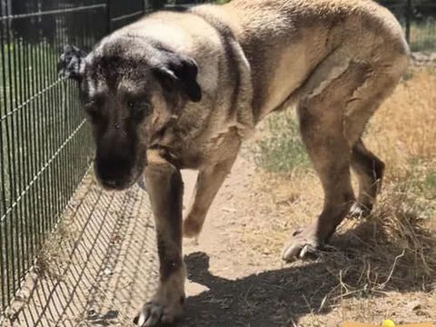 Asil 130 26700 Pierrelatte