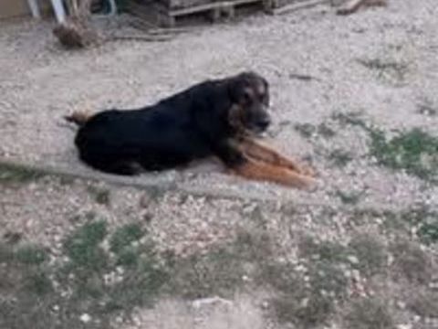 donne pour raison de santé pour moi 0 31410 Capens