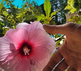  Villa � louer 5 pi�ces 150 m�