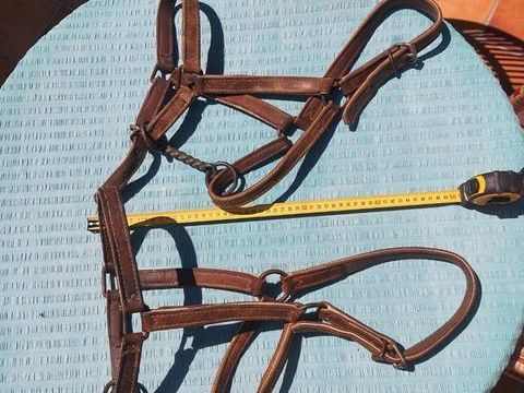 Lot de 2 licols cuir double &acirc;ne / poney + 2 chasses mouches 60 17700 Puyravault