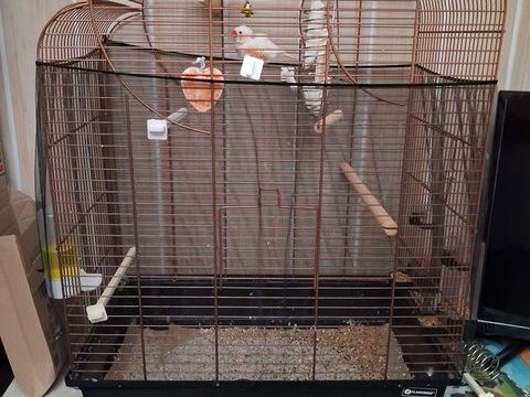 grande cage oiseaux neuf servi 3 mois 80 59000 Lille
