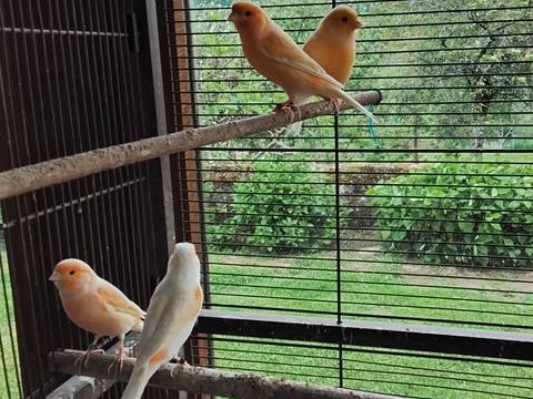 Canaris 20 58370 Villapouron