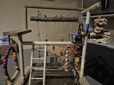 Aire de jeu pour perruche/perroquet + bol en bois offert
30  30 40200 Mimizan