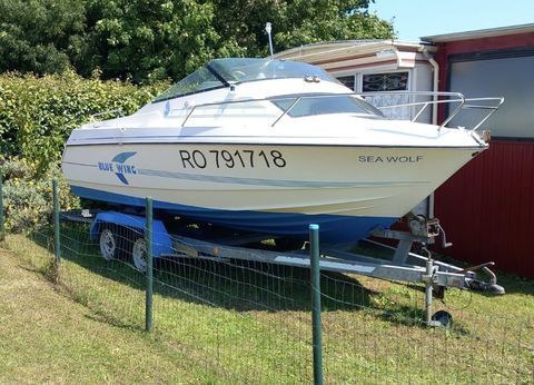 Bateaux &agrave; moteur P&ecirc;che-promenade 1992 occasion Portbail 50580