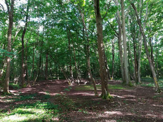  Terrain � louer 5000 m�