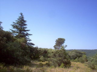  Terrain � vendre 1300 m�