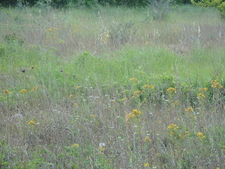  Terrain � vendre 10440 m�