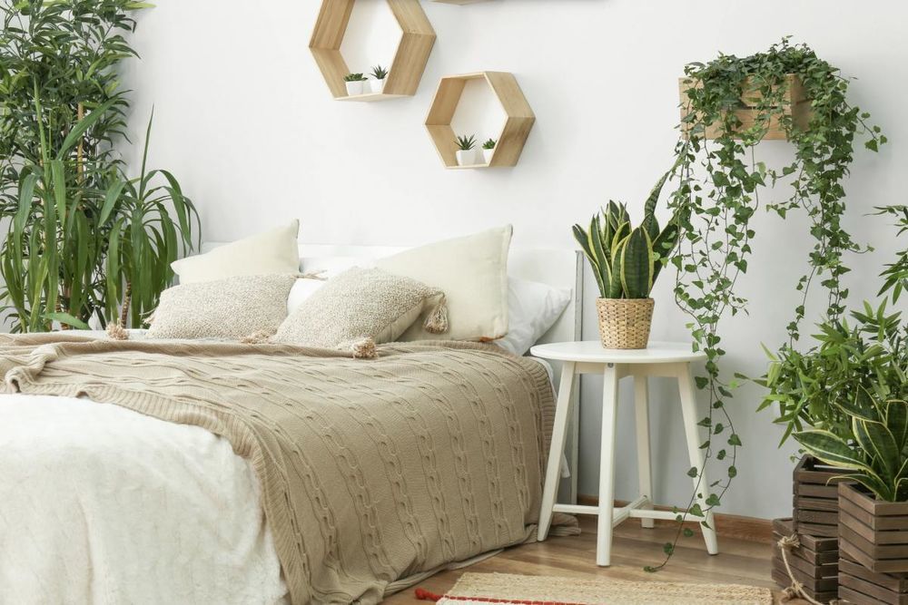   Ifs (14123)