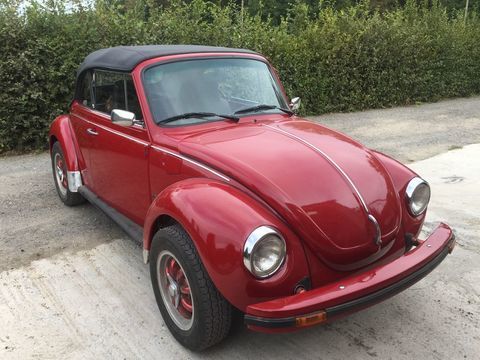 Volkswagen Divers Coccinelle 1978 occasion Bergues 59380