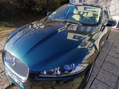 Jaguar XF 2.2 D - 163 Classic A 2014 occasion Roche-Saint-Secret-B&eacute;conne 26770