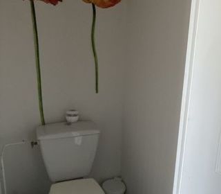  Appartement � louer 2 pi�ces 37 m�