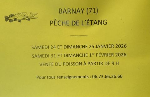 Carpe 4 71540 Barnay