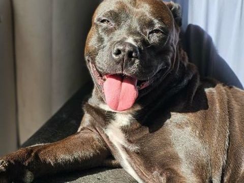 Paty, jolie et gentille fifille de 7ans 150 10400 Avant-l�s-marcilly