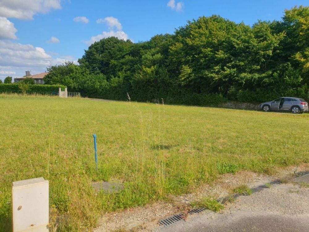   Saint-Andr�-de-Cubzac (33240)