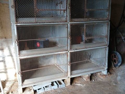 clapiers 100 38122 Saint-julien-de-l'herms