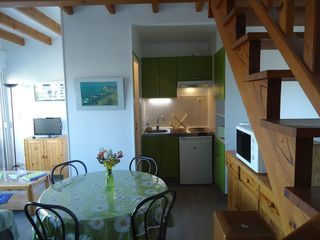  Duplex/triplex � louer 2 pi�ces 36 m�