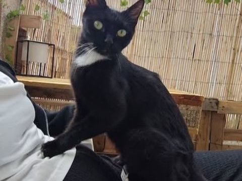 LUNA 1 07200 Lab�gude