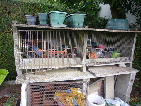 Clapiers à lapins 0 80650 Vignacourt