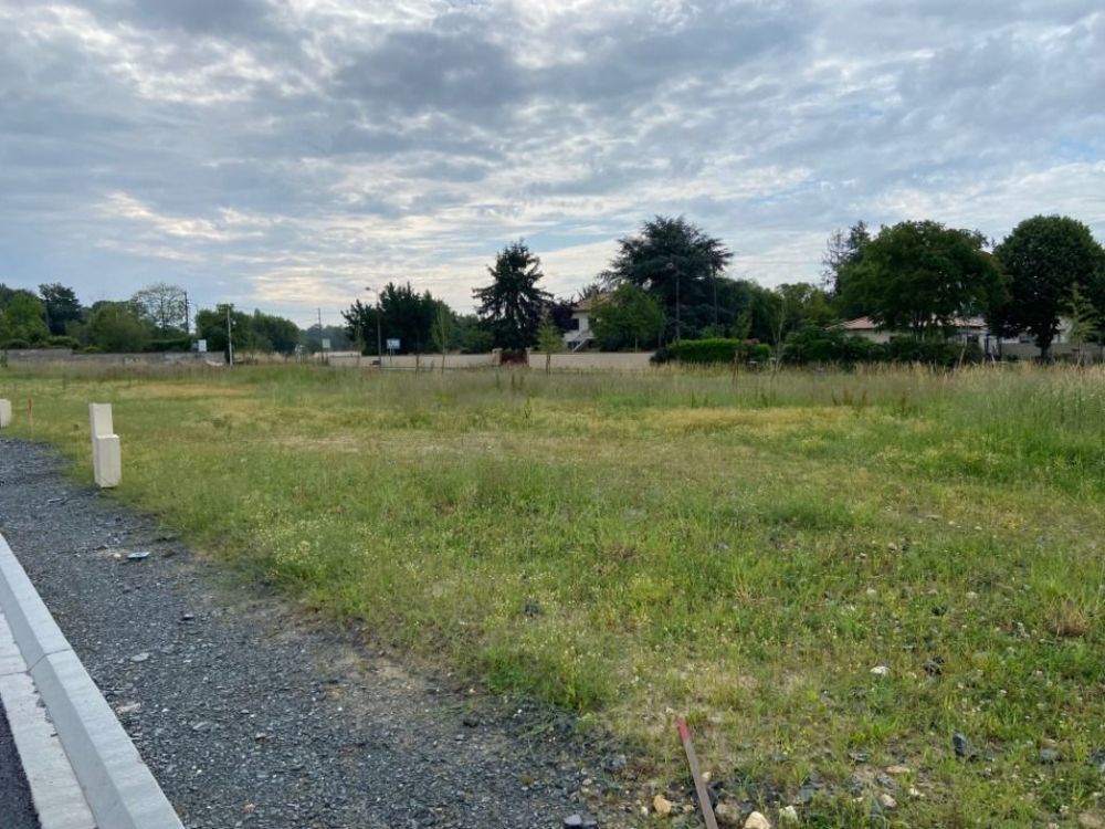 Maisons neuves   Saint-Savin (33920)