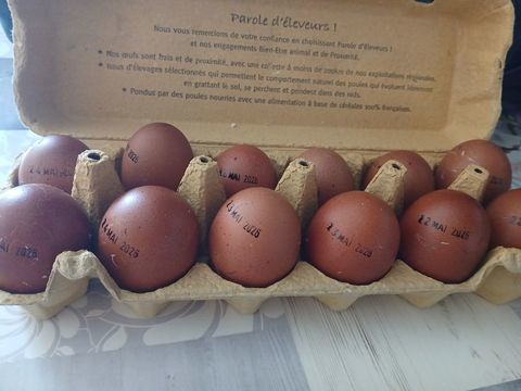 Oeufs f&eacute;cond&eacute; marans 2 14310 Villers-bocage