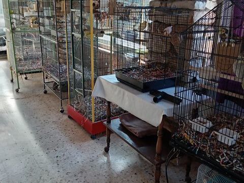 calopsite 30 84500 Bollne