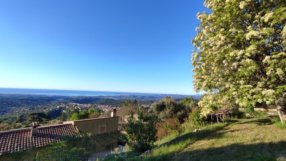 � vendre  Villa Vence (06140)