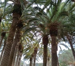 Location  Maison - Villa 