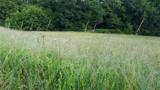  Terrain � vendre 4000 m�